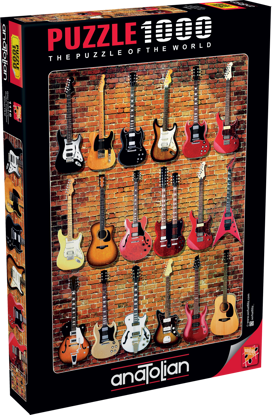 Gitar Koleksiyonu 1000P resmi