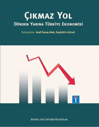 Çıkmaz Yol - Dünden Yarına Türkiye Ekonomisi resmi